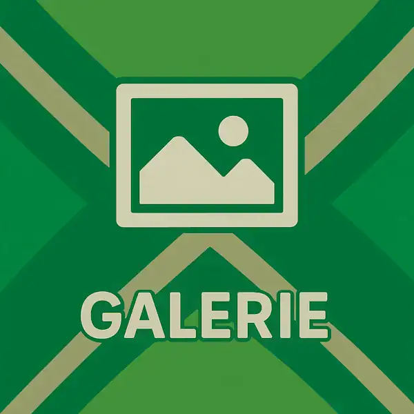 Wit pictogram van een ingelijste afbeelding met bergen en zon of maan, met daaronder de tekst “GALERIE” in hoofdletters, geplaatst op de vlag van de Achterhoek met donkergroene diagonale kruisen en roomwitte lijnen op een lichtgroene achtergrond.