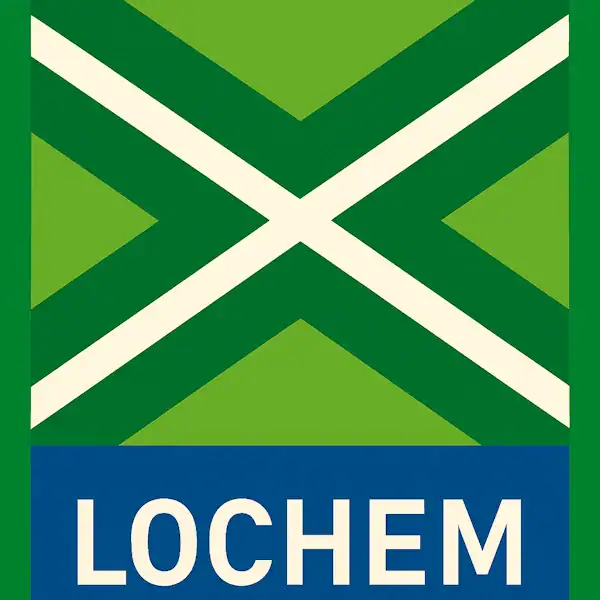 Plaatsnaambord met de tekst "LOCHEM" in witte hoofdletters op een blauwe balk onderaan. Daarboven een groene vlag met een wit kruis, omlijst door een donkergroen kruispatroon, met rondom de vlag uitsluitend groene achtergrond zonder blauw.