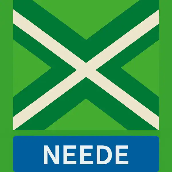 Plaatsnaambord met de tekst "NEEDE" in witte hoofdletters op een blauwe balk. Daarboven een vlag met lichtgroene achtergrond, een wit St. Andrieskruis gecentreerd in een donkergroen kruispatroon — overeenkomstig het originele vlagontwerp.