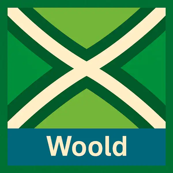 Plaatsnaambord met de tekst "WOOLD" in witte hoofdletters op een blauwe balk. Daarboven een vlag met lichtgroene achtergrond, een helder wit St. Andrieskruis gecentreerd in een donkergroen kruispatroon, inclusief een donkergroene buitenrand — volledig conform het meegeleverde vlagvoorbeeld, formaat 600x600.