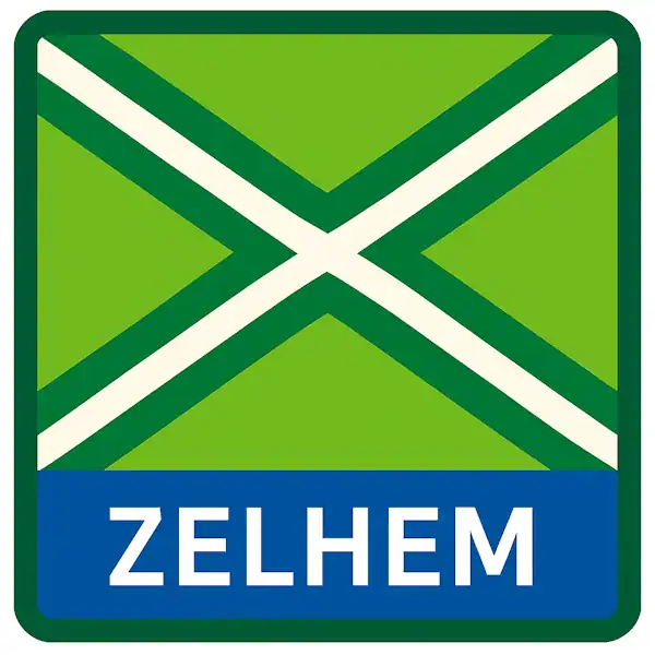 Plaatsnaambord met de tekst "ZELHEM" in witte hoofdletters op een blauwe balk. Daarboven een vlag met lichtgroene achtergrond, een helder wit St. Andrieskruis gecentreerd in een donkergroen kruispatroon, omlijst door een donkergroene rand — conform het originele vlagvoorbeeld, formaat 600x600.